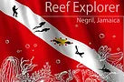 Reef Explorer Diving Center Negril